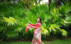 朋友的母亲3在观整有限中字